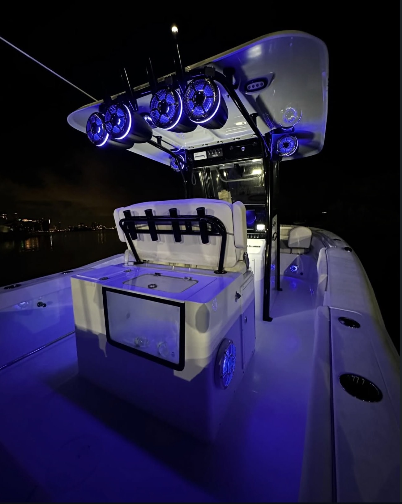 Boat with a custom speaker installation